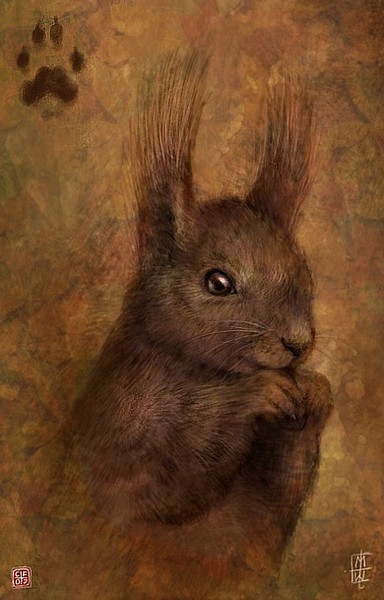 Squirrel