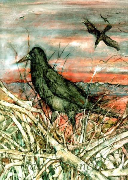 Host of the Rookery