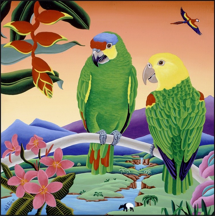 Amazon Parrots