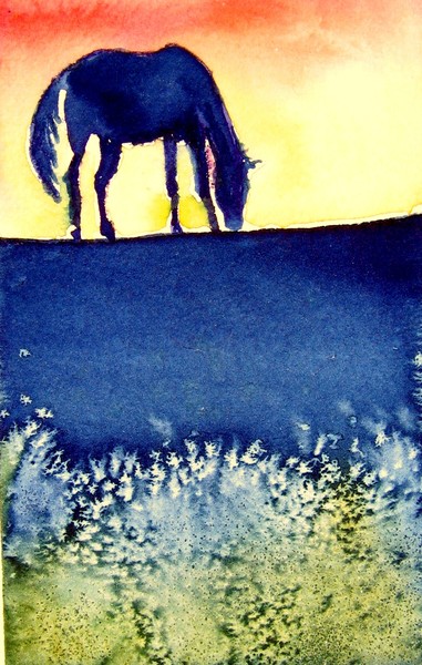 Hilltop Sunset #3