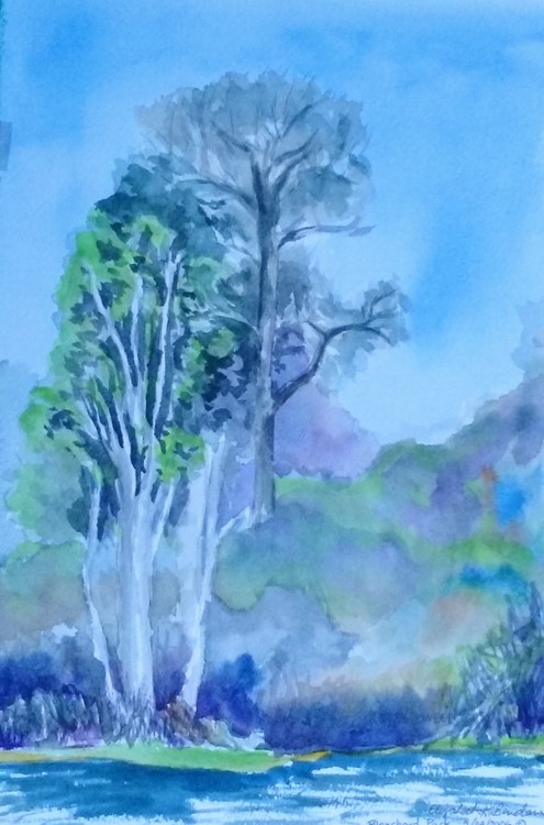 Trees Blanchard Park $150USD