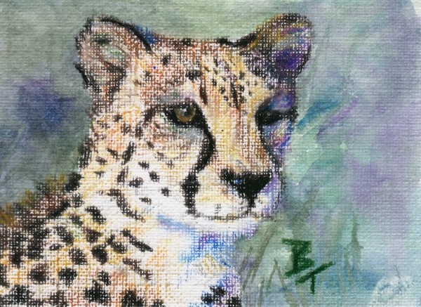 Cheetah Portrait aceo