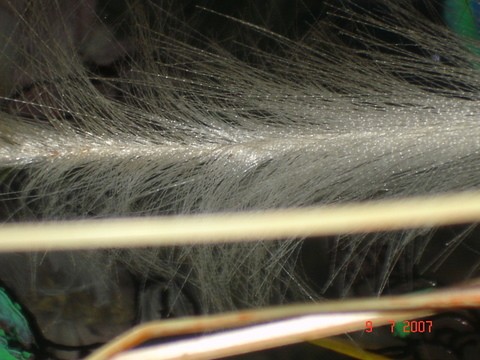 abstract series...