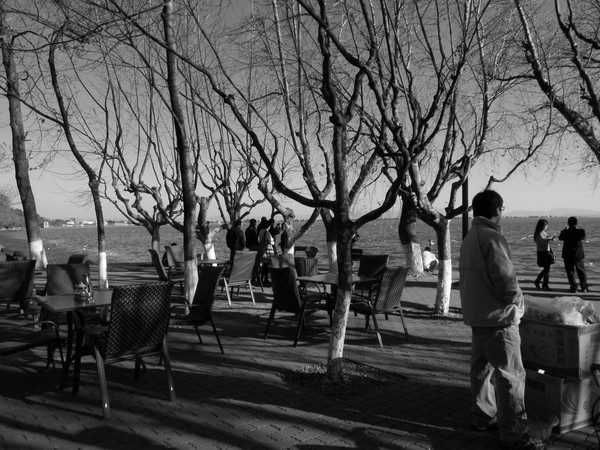 Scenic Cafe