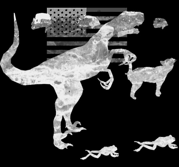 usa
