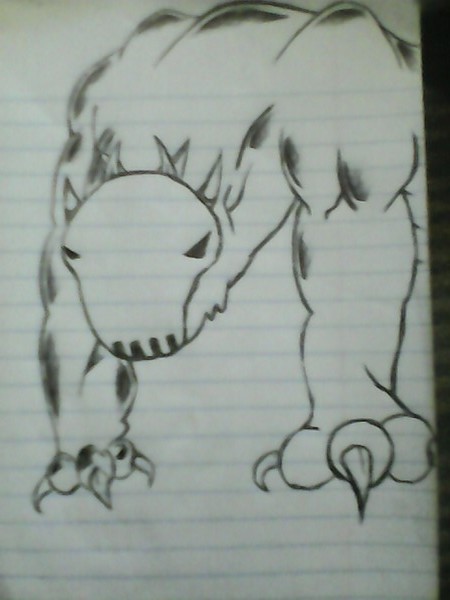 my dog2