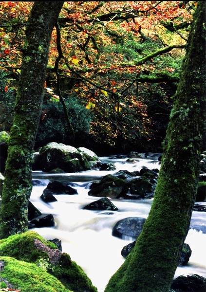 River & Rock