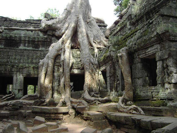 Tomb raider Cambodian window
