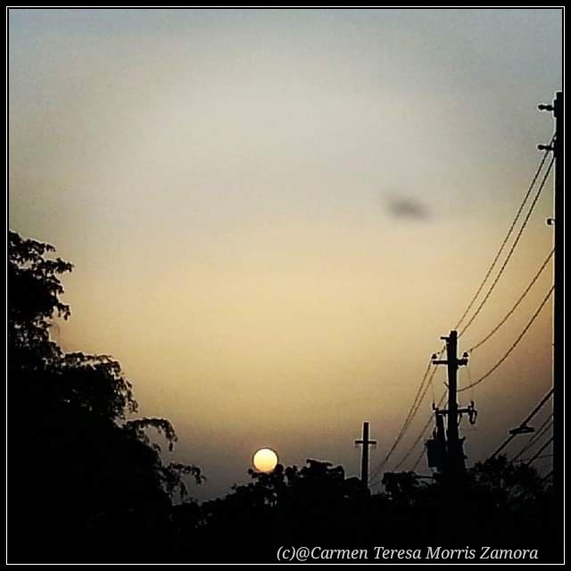 My Beautiful Sun