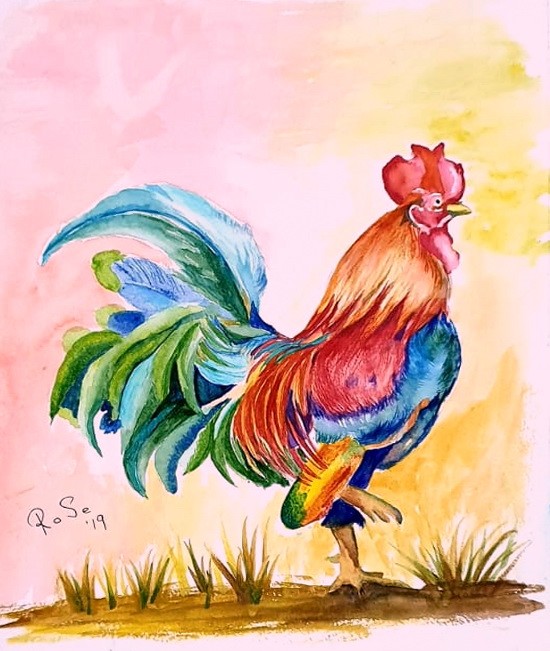 Rooster
