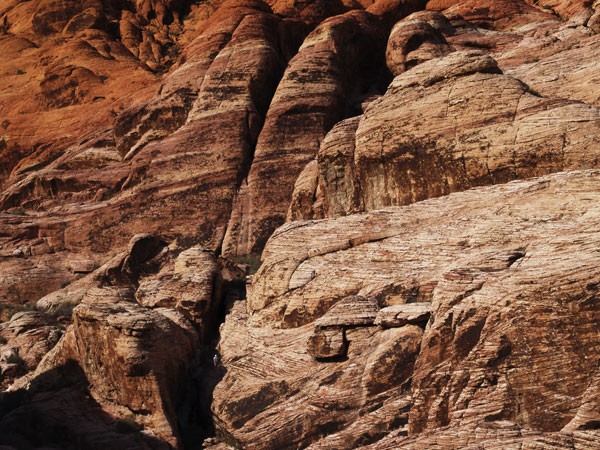 Desert Landscape