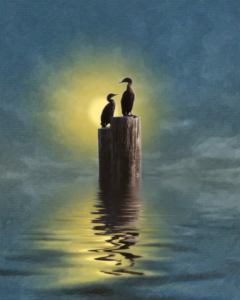 Two Herons