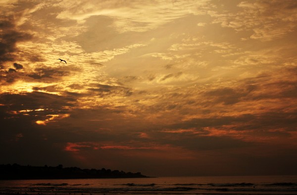 *THE ART OF GOD*