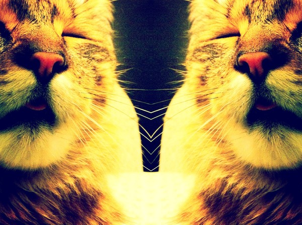 Simply Sixx