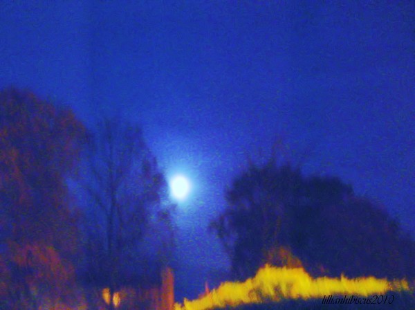 At Night