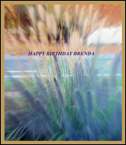 HAPPY BIRTHDAY BRENDA