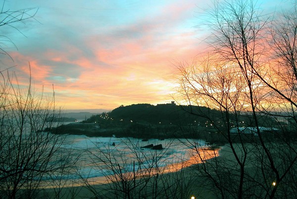 Camello, Spain
