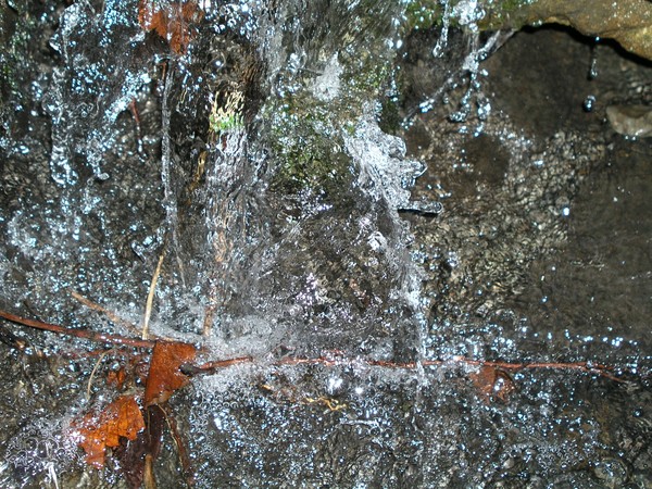 Sparkling Brook