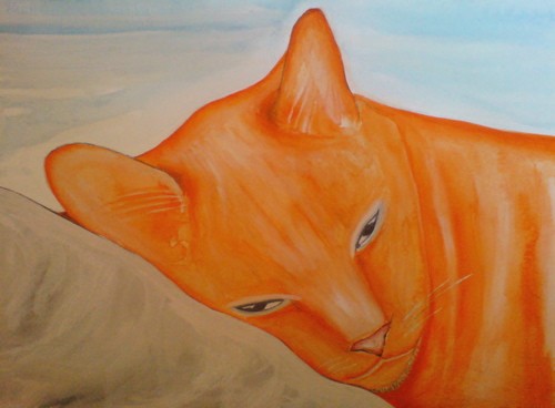 Sleepy Cat