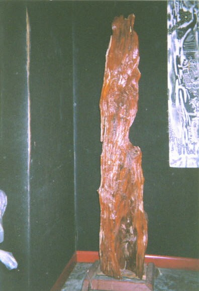 DRIFTWOOD THREE