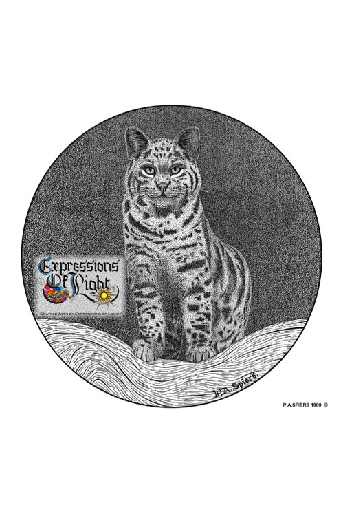 ExpoLight-Graphic-Arts-Bobcat-1989-0001 (Pen-&-Ink-Mono-SP)