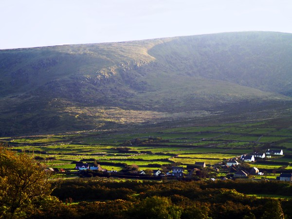 Irish Countryside I