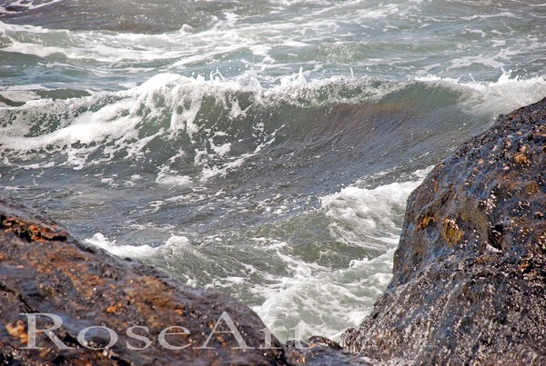 Ocean Swells 