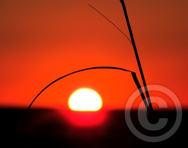 Gulf Sunset 2