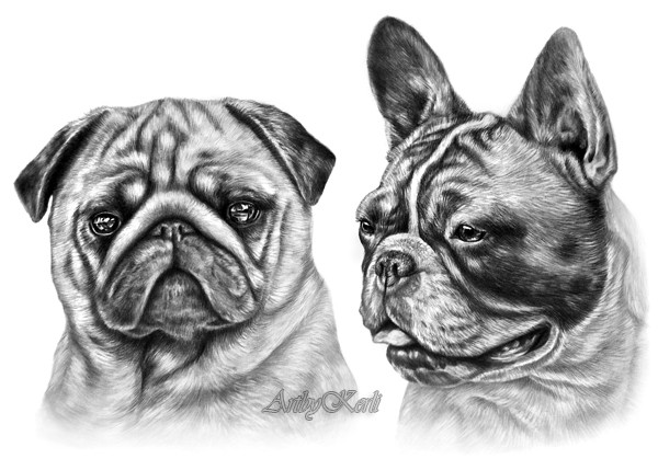 Lucky & Dina