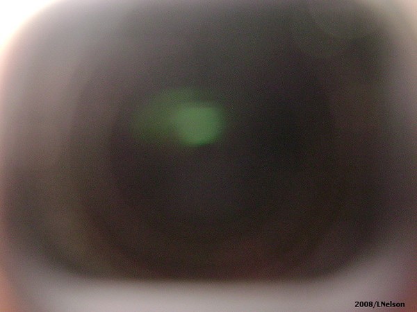 The Camera's Eye