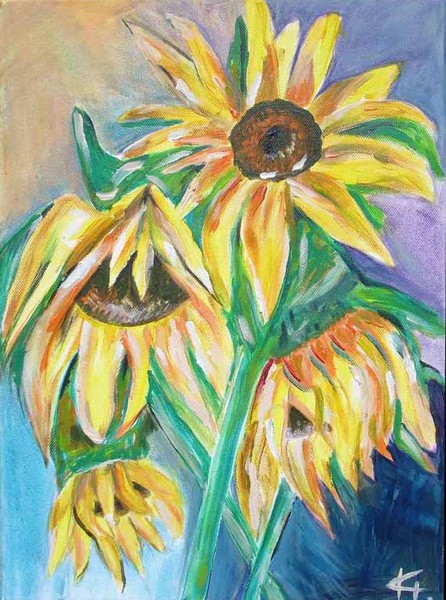 my sunflowers