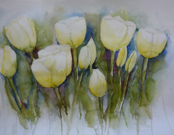 white tulips