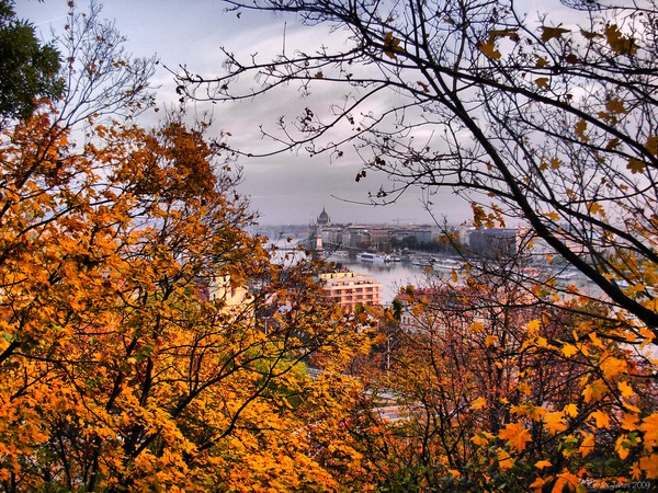 October Morning-2