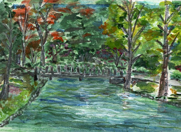 Forest Hill Park