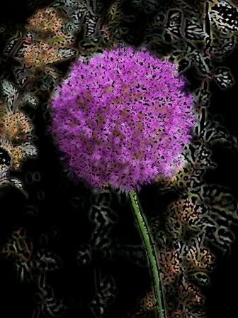 PURPLE COLORED PENCIL