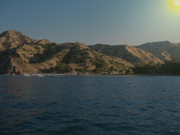 Island Morning