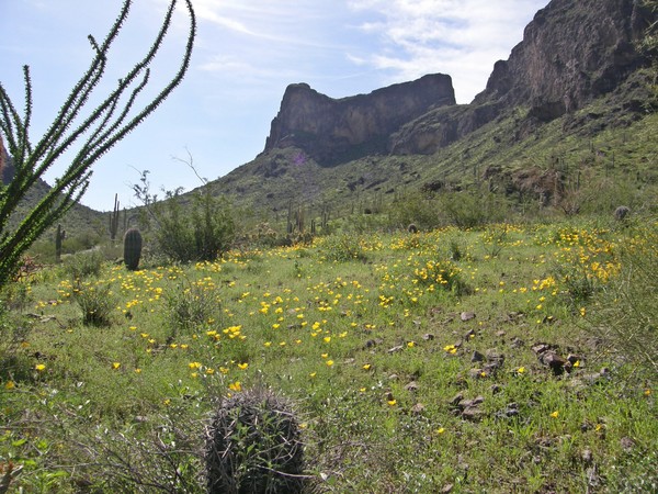 Picacho Peak