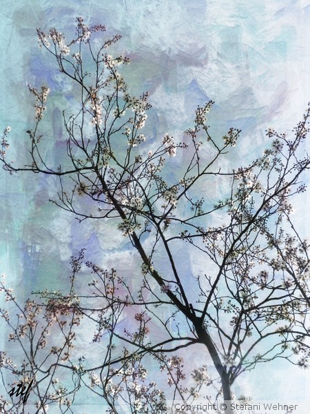 spring not so far