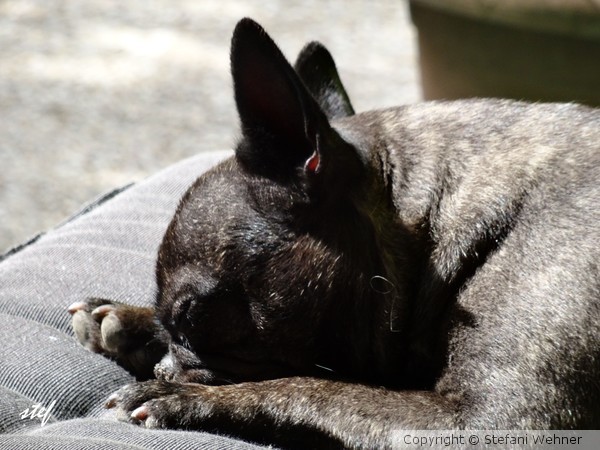 just a nap