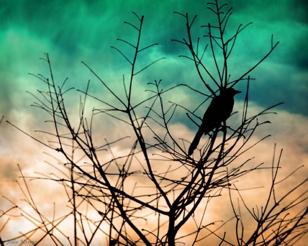 Early Bird - Original Fine Art Print Metallic