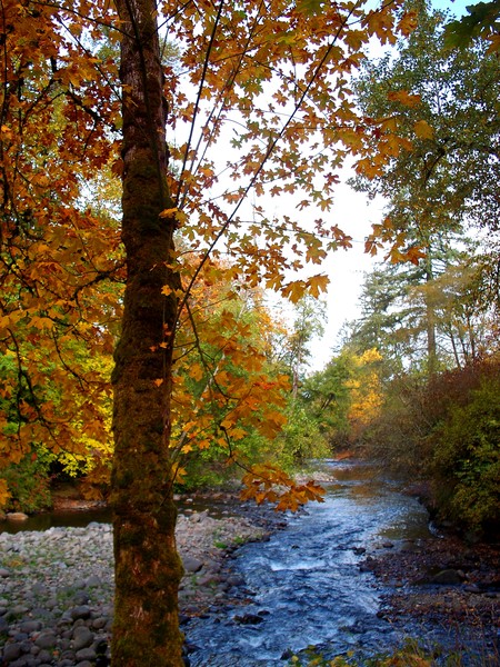 Larwood Wayside Series ~ # 13