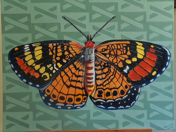 moth