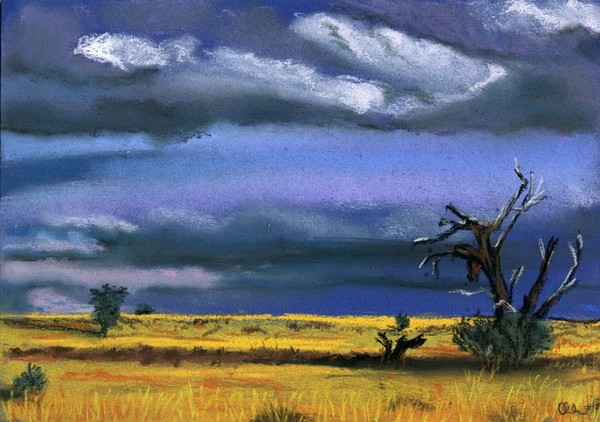 kalahari