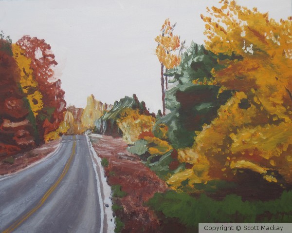 M Highway North in Fall
