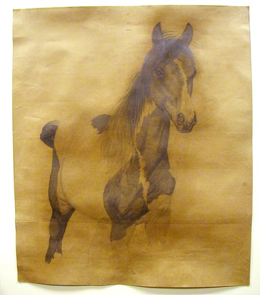 Horse 3