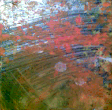 orange splash #5