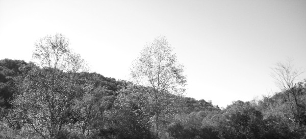 Skyline