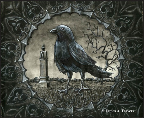 Black Bird