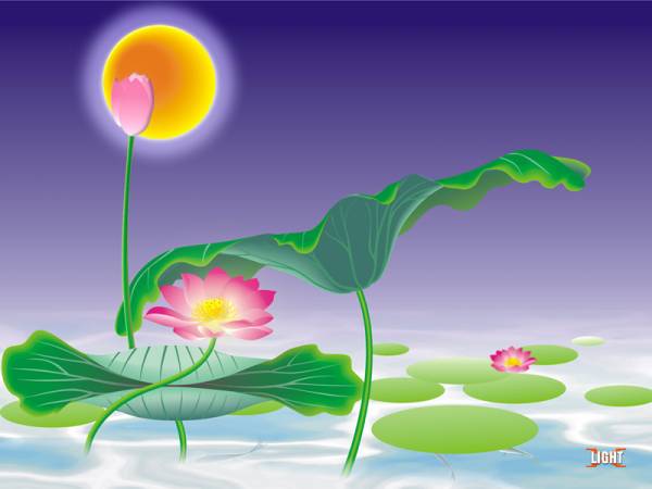 Lotus