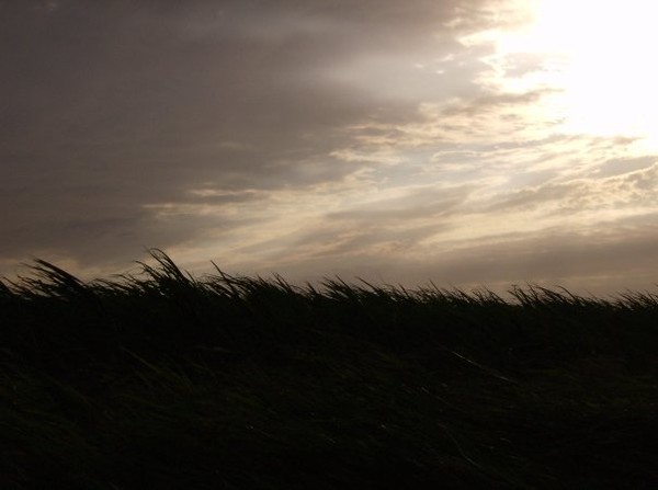 south texas